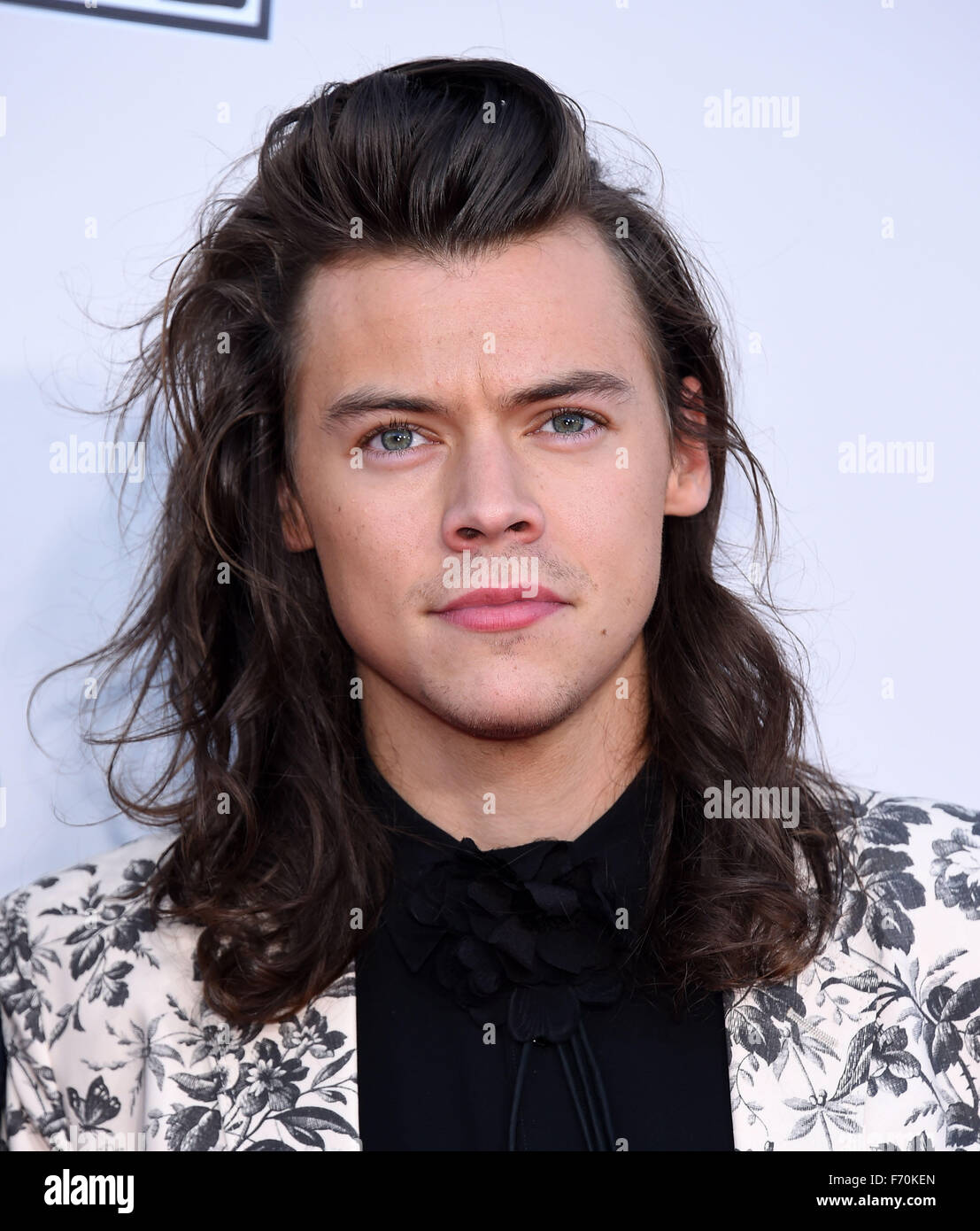 Harry Styles 2015 concert