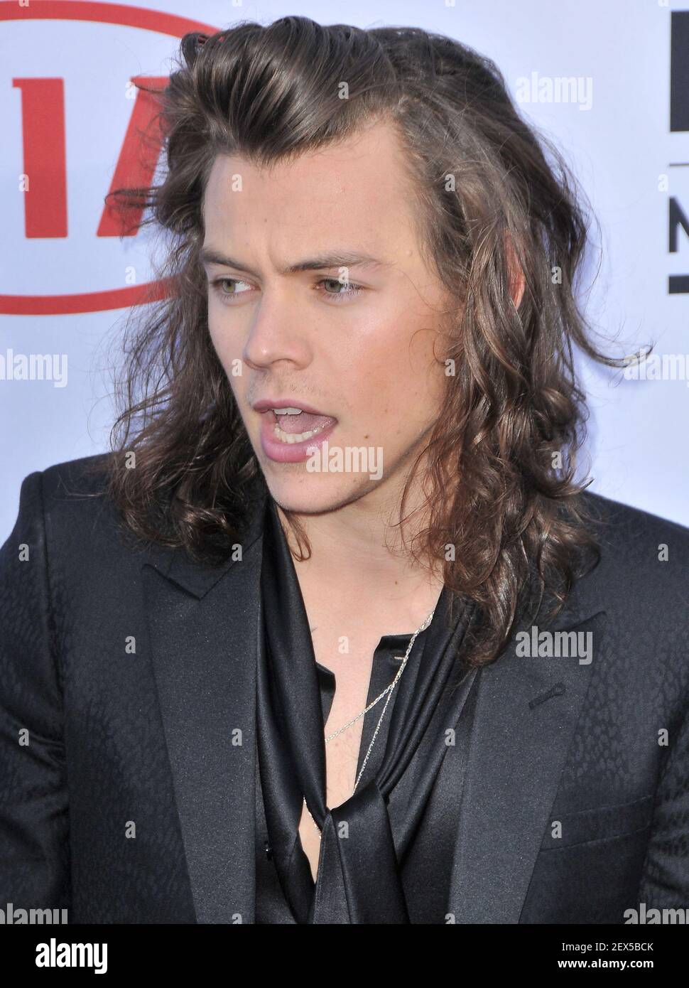 Harry Styles 2015 tour dates
