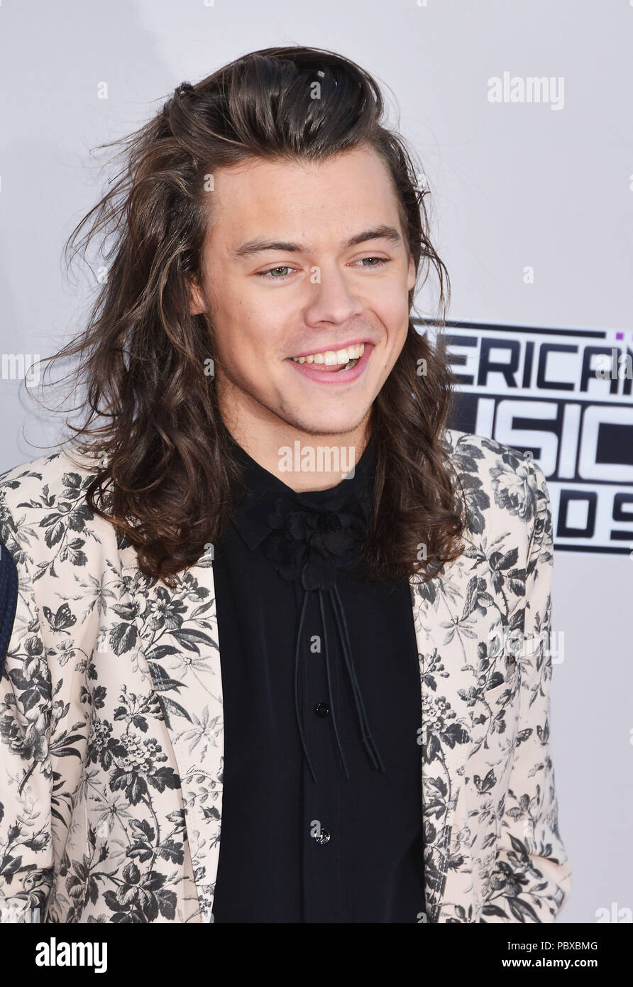 harry styles 2015 0012