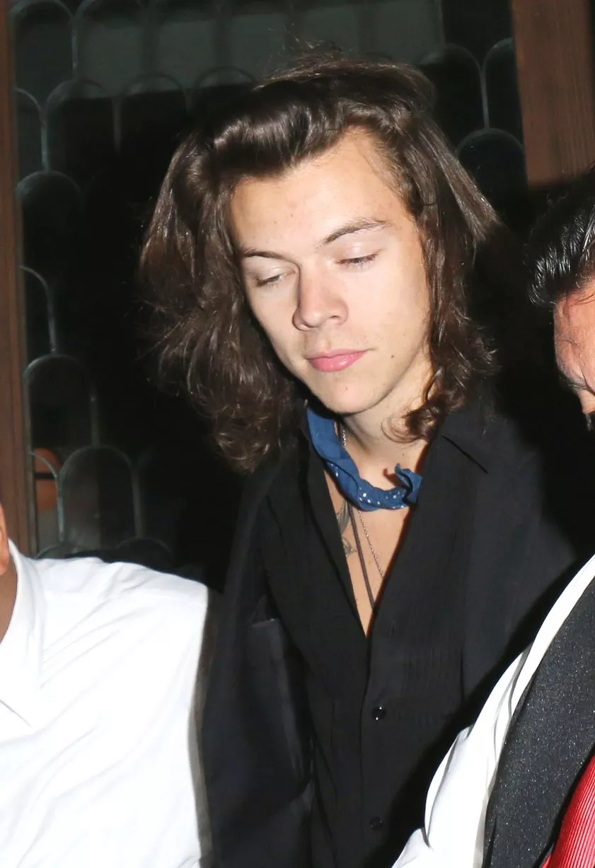 harry styles 2015 0021