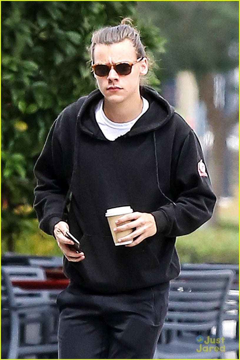 harry styles 2015 0041