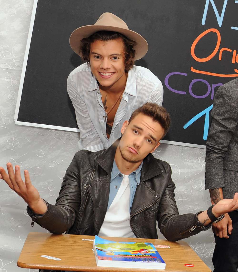 harry styles 2015 0047