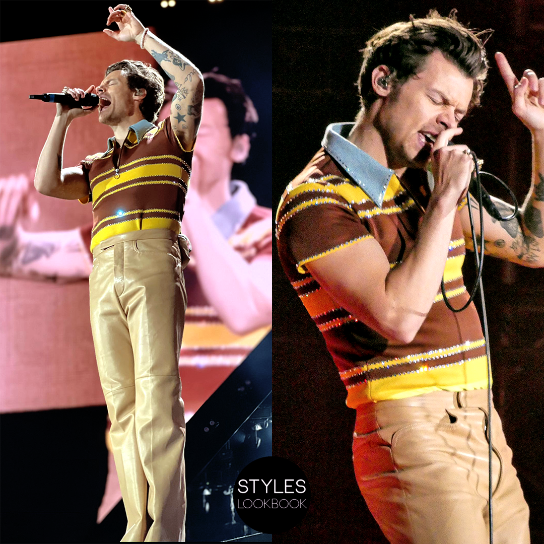 Harry Styles Coventry fan experiences