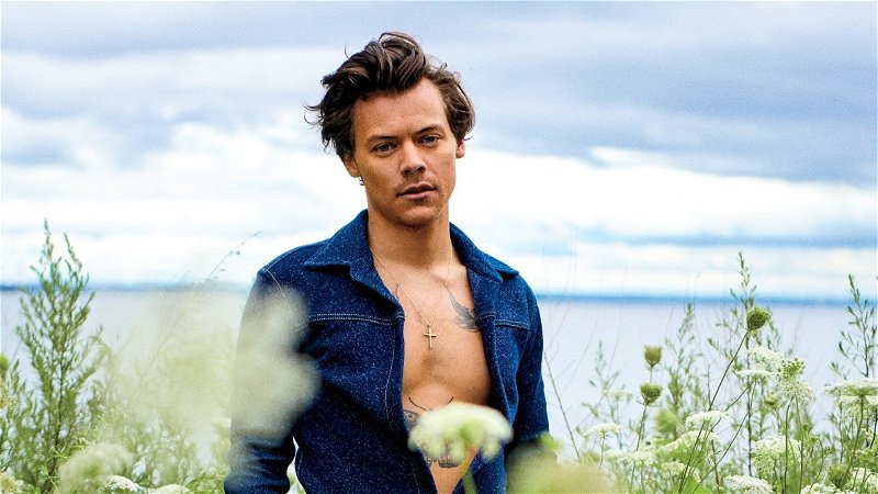 harry styles coventry 0028