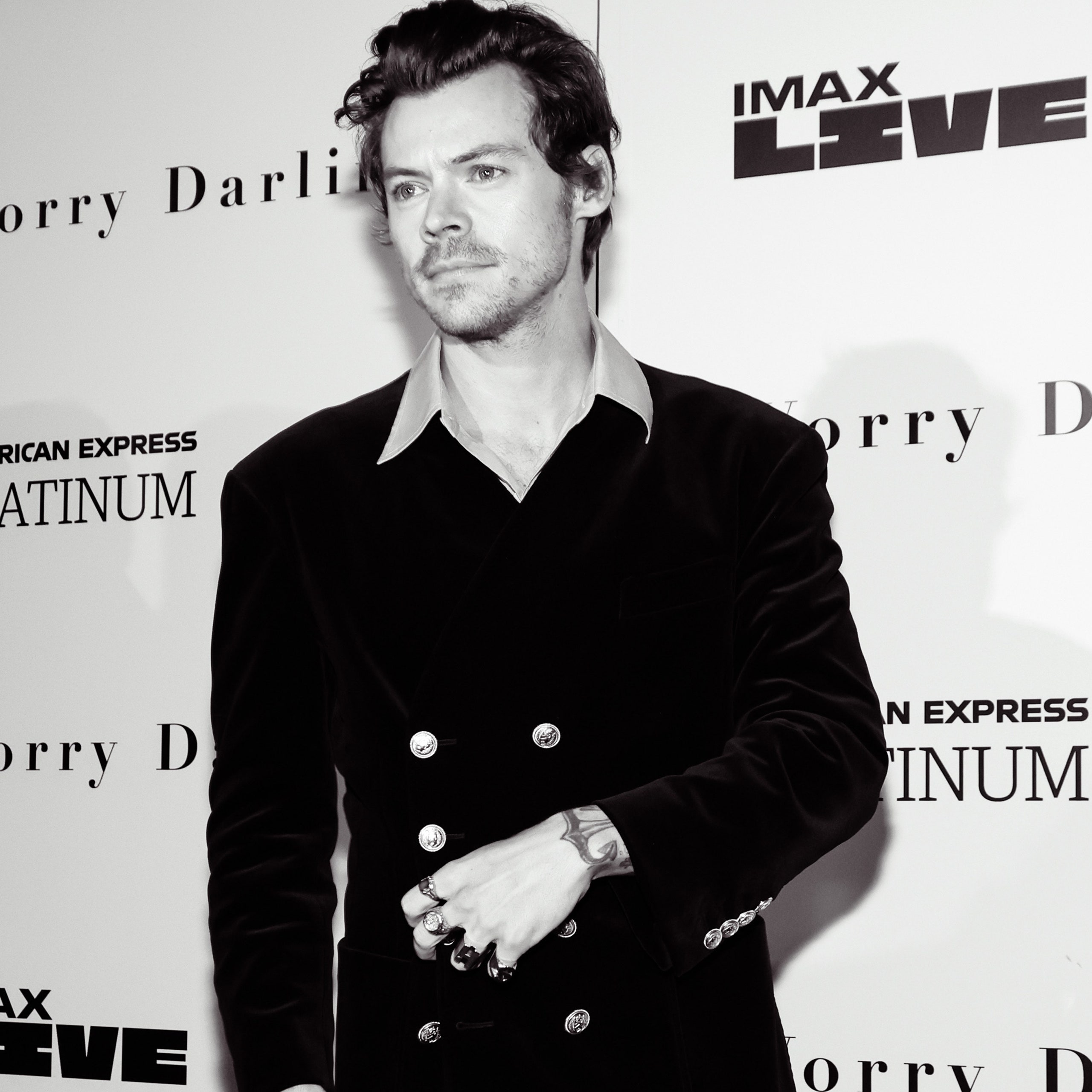 Harry Styles photography 2022