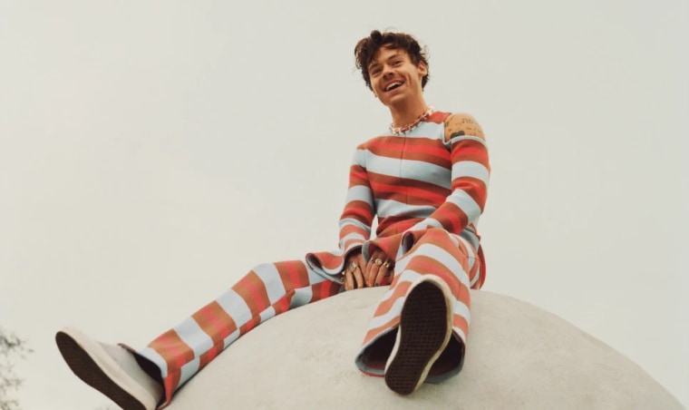 harry styles photoshoot 2022 0021