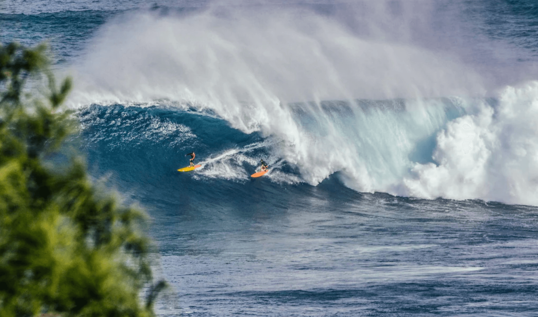 hawaii surfing photos 0047