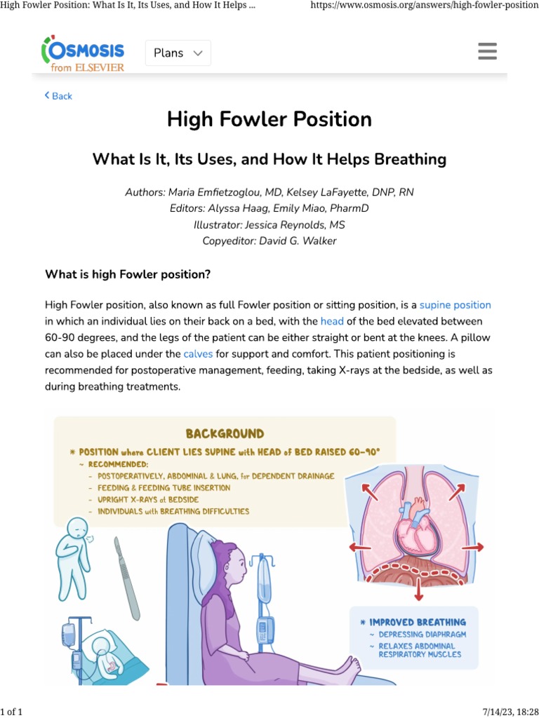 high fowler position images 0010