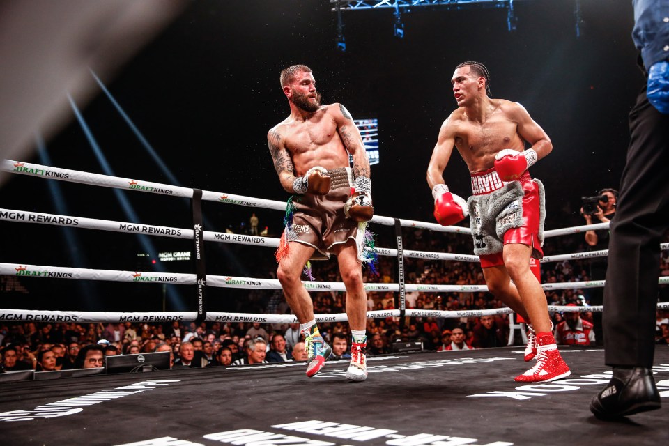 highest knockout percentage in boxing 2023 0014