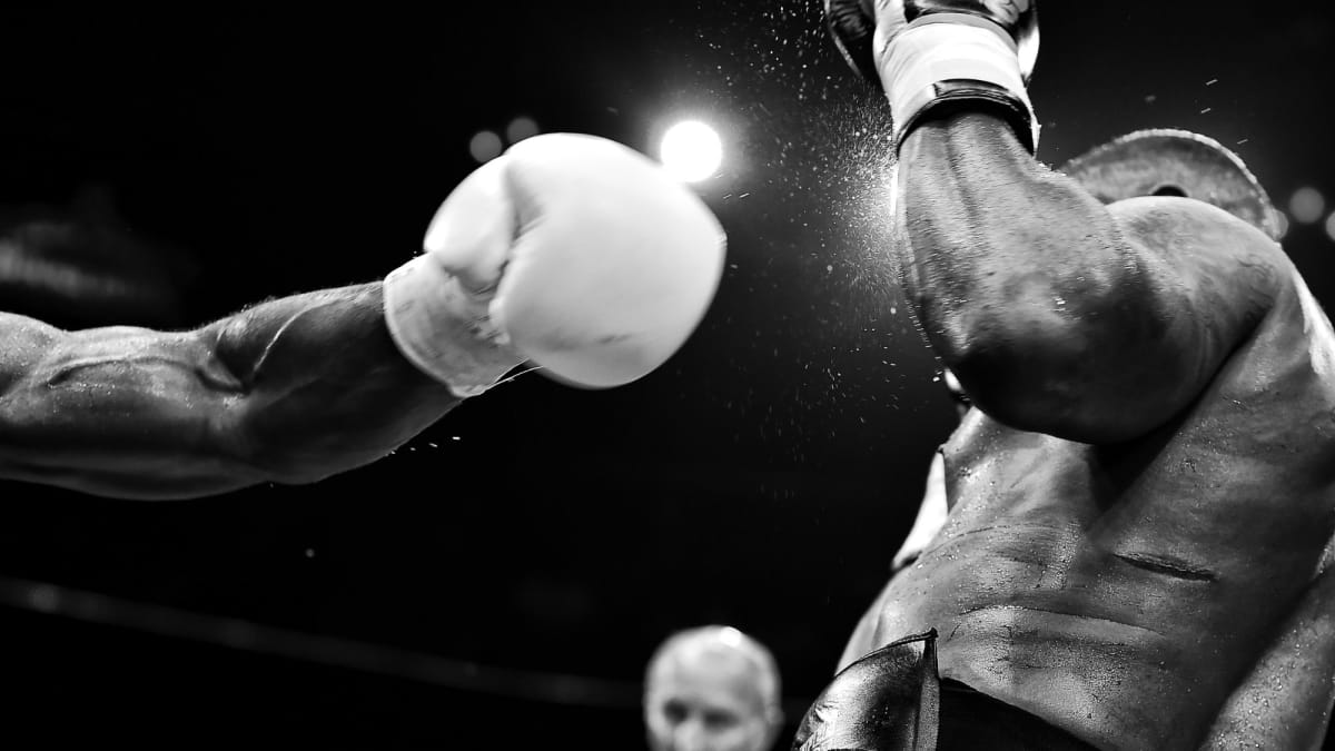 highest knockout percentage in boxing 2023 0023