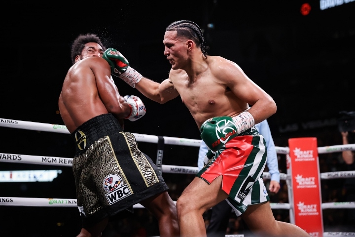 highest knockout percentage in boxing 2023 0024