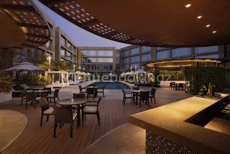 hilton links 0025