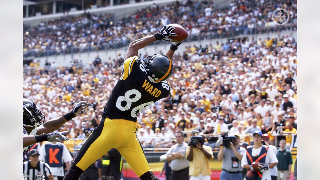 Hines Ward fan art