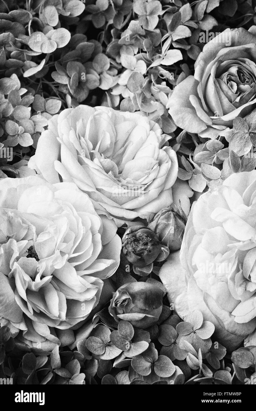 historic black and white images