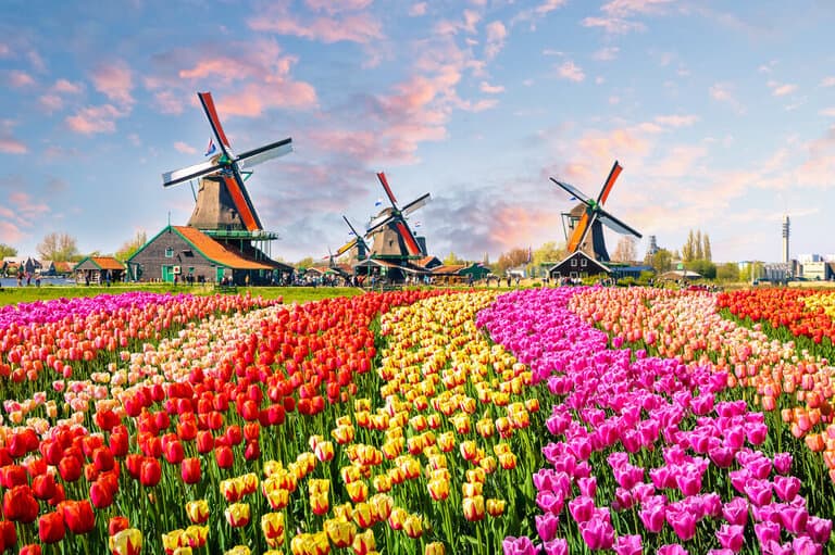 Holland time difference