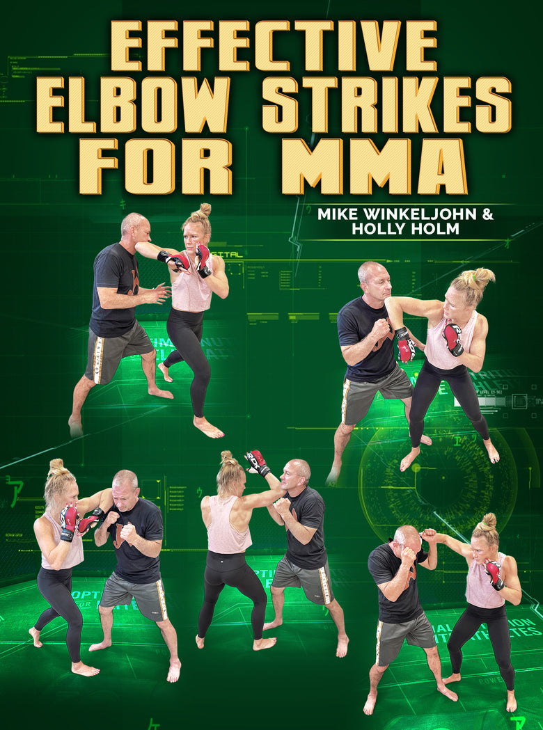 holly holm poster 0023