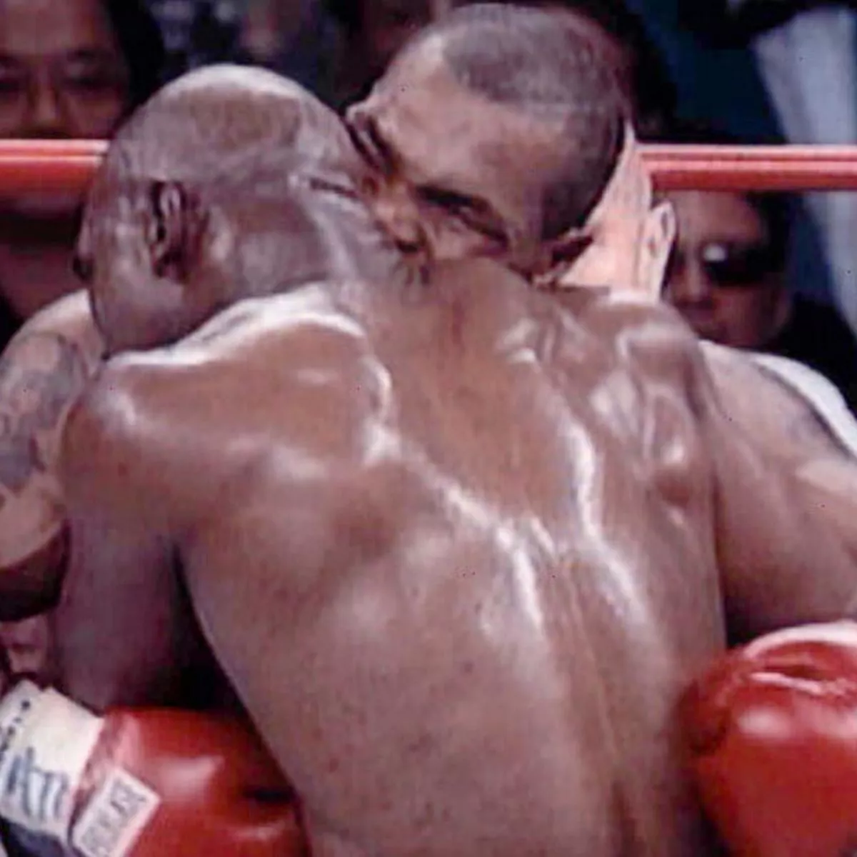 holyfield's ear after bite 0020