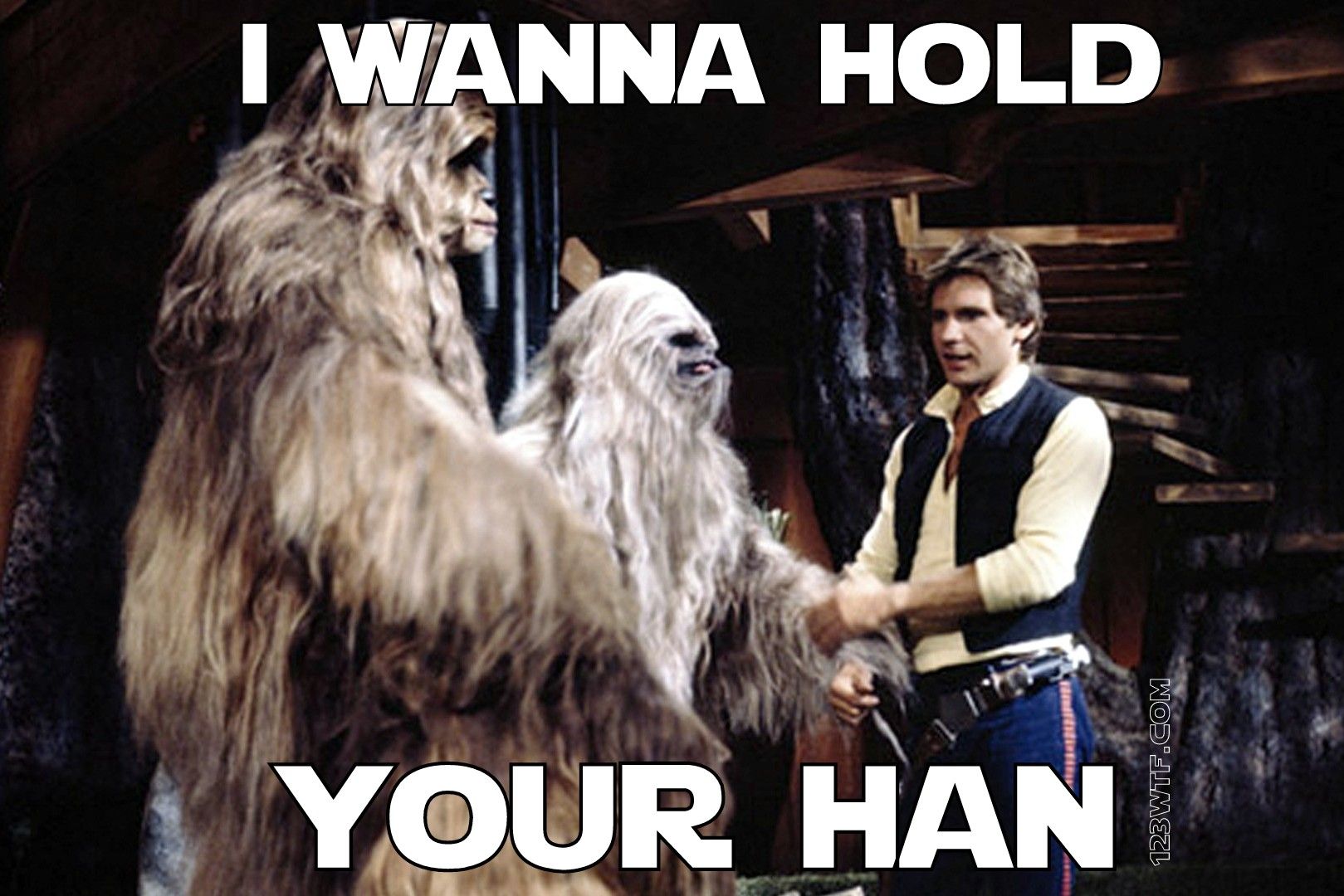 hope solo memes 0013