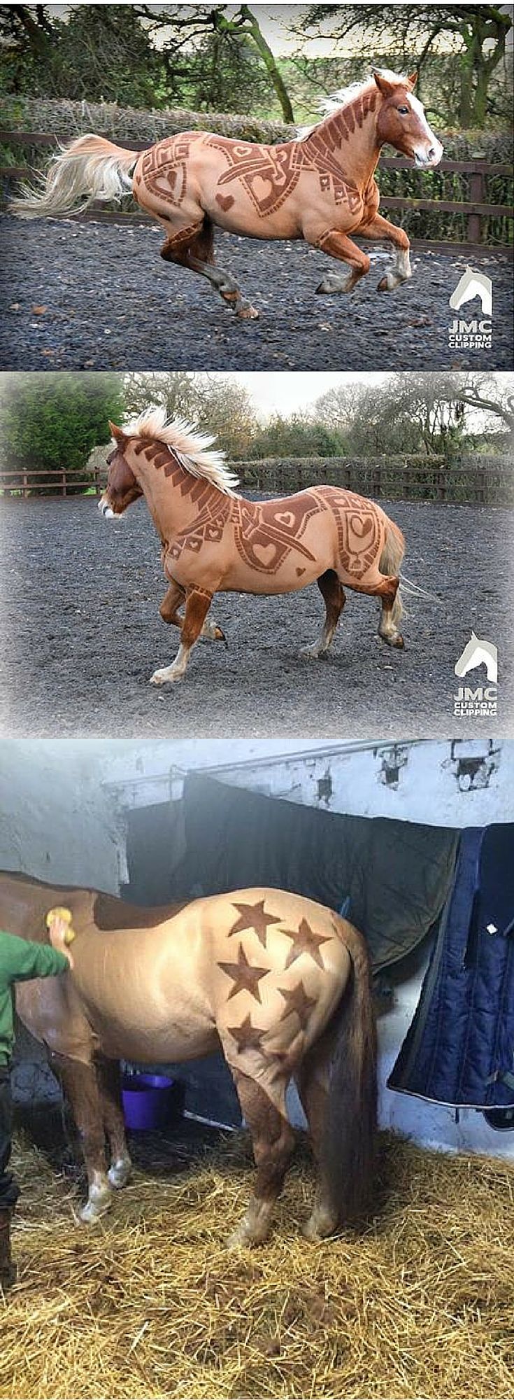 horse hair care