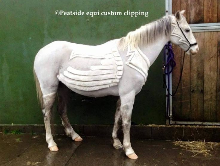 horse hair designs