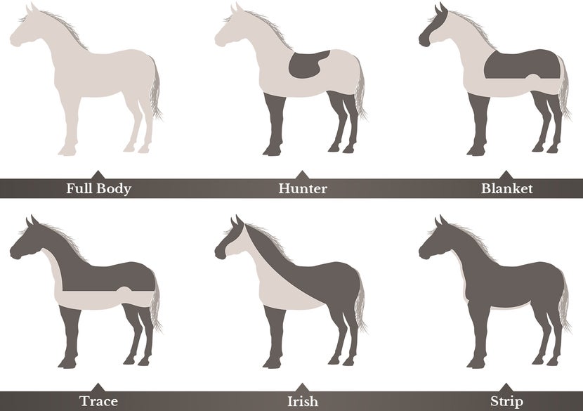 horse haircut designs 0015