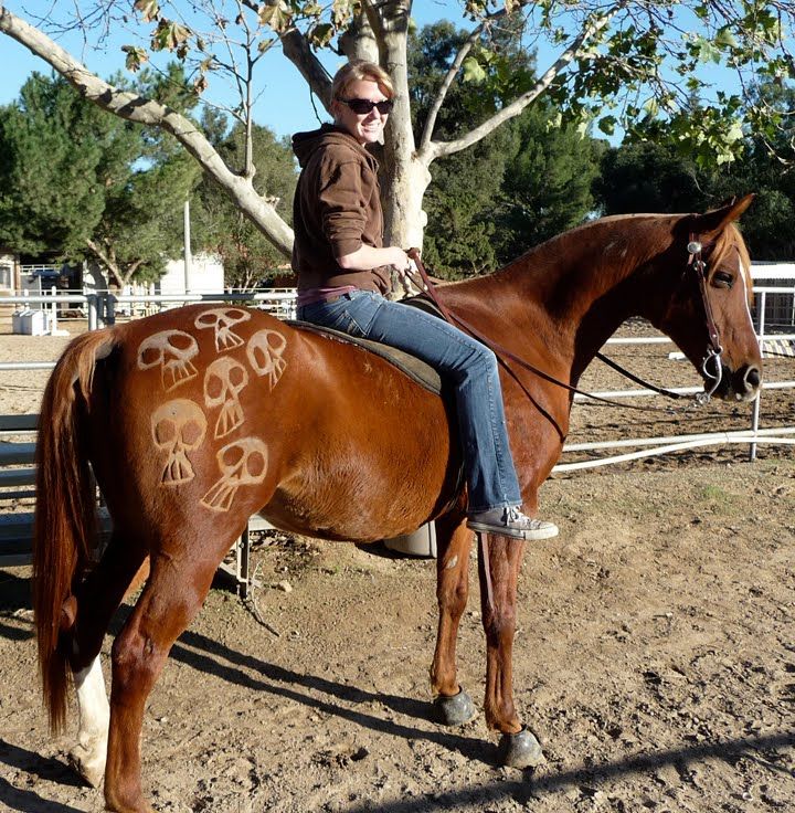 horse haircut designs 0016