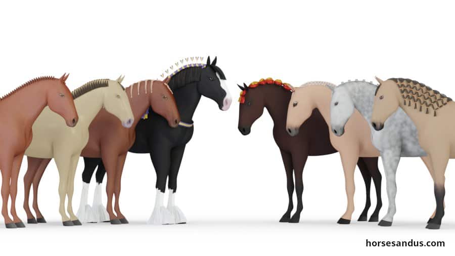 horse haircut designs 0027