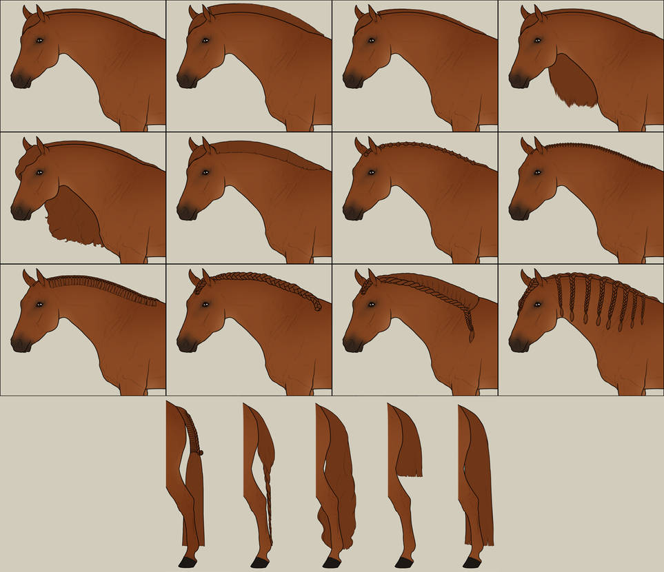 horse haircut designs 0030