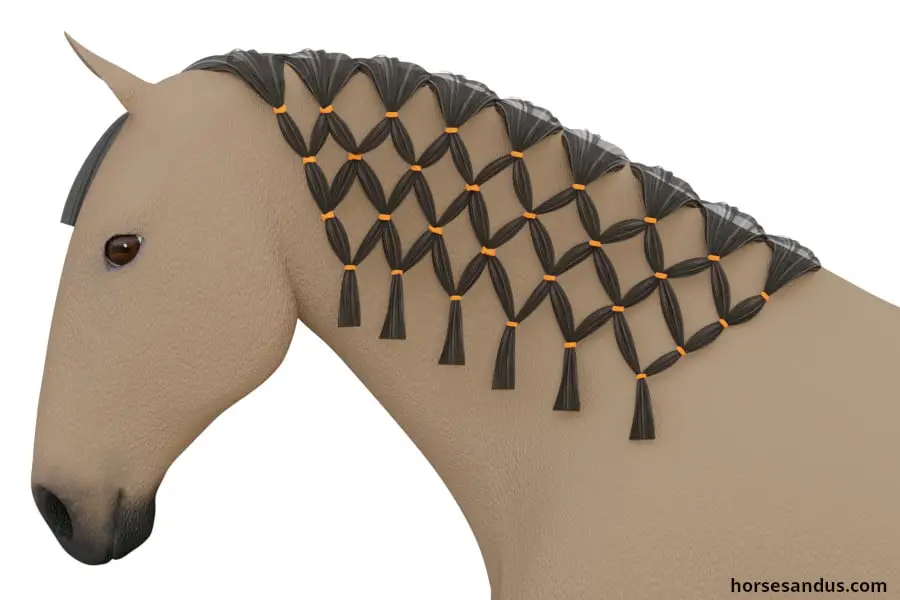 horse haircut designs 0033