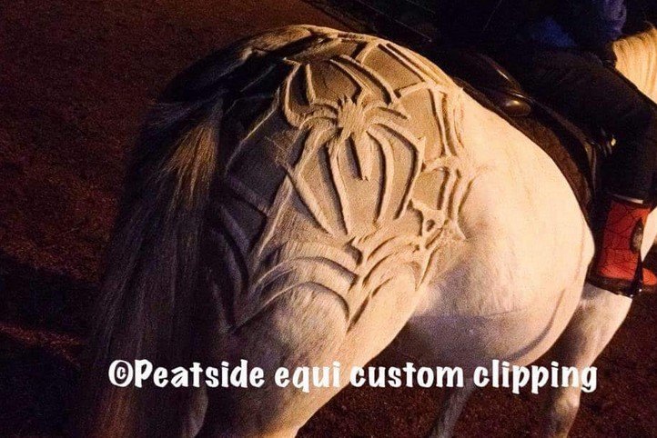 horse haircut designs 0035