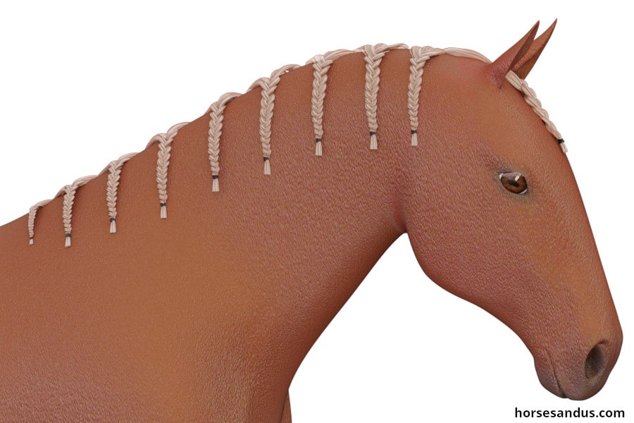 horse haircut designs 0036