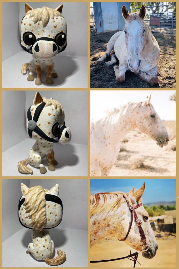horse haircut designs 0037
