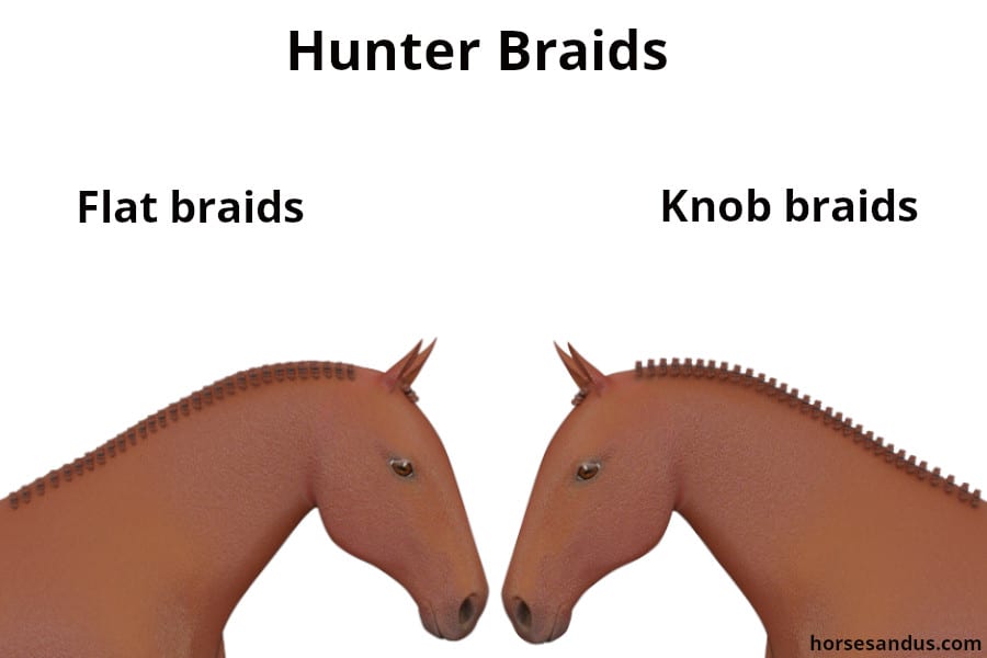 horse haircut designs 0047