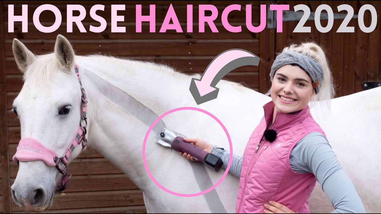 horse haircut 0010