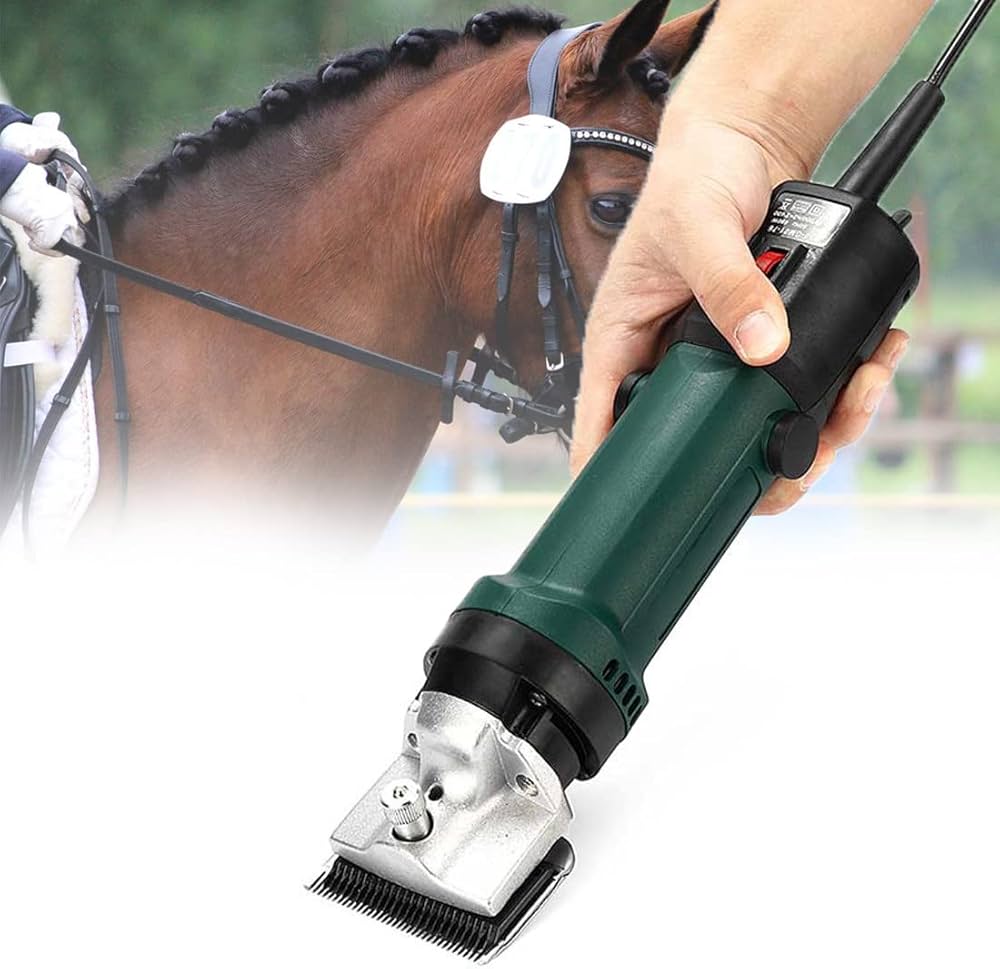 horse haircut 0021