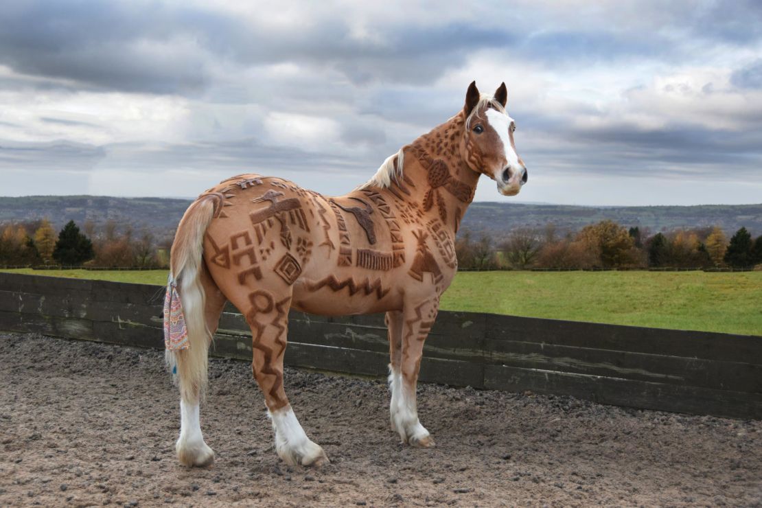 horse haircut 0024