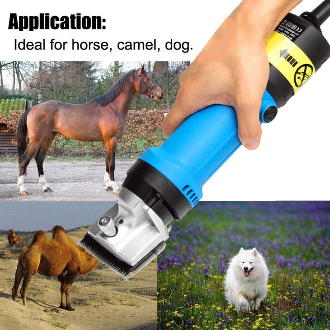 horse haircut 0044