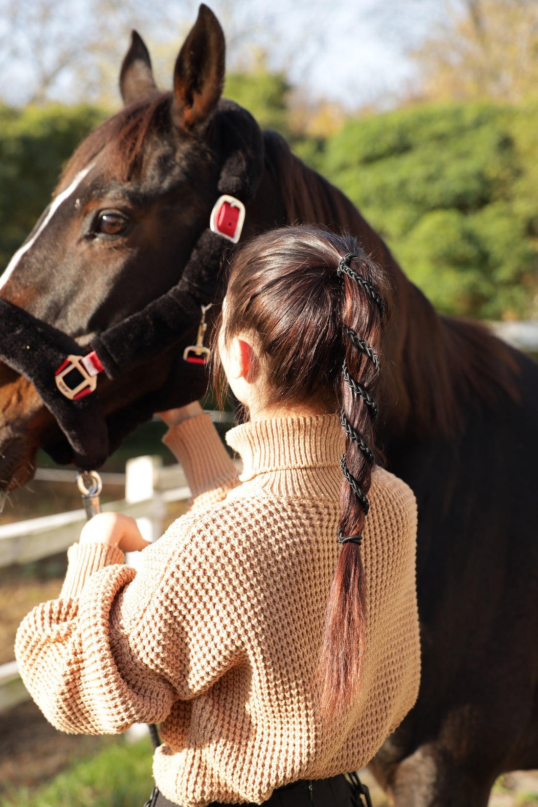 horse haircut 0046