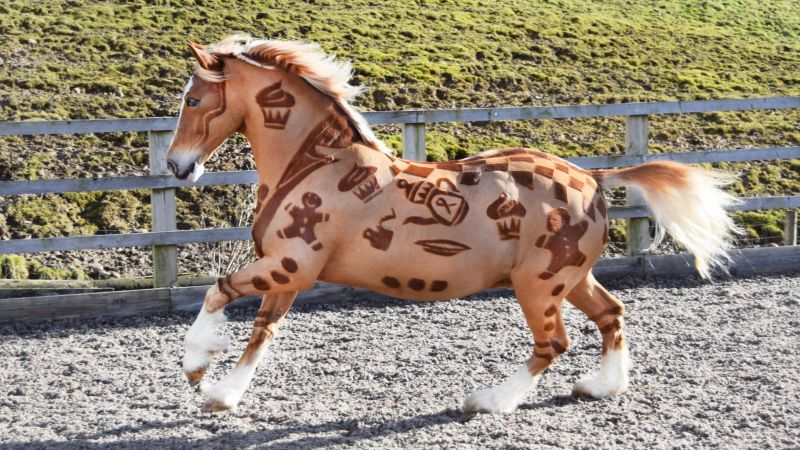 horse mane styles