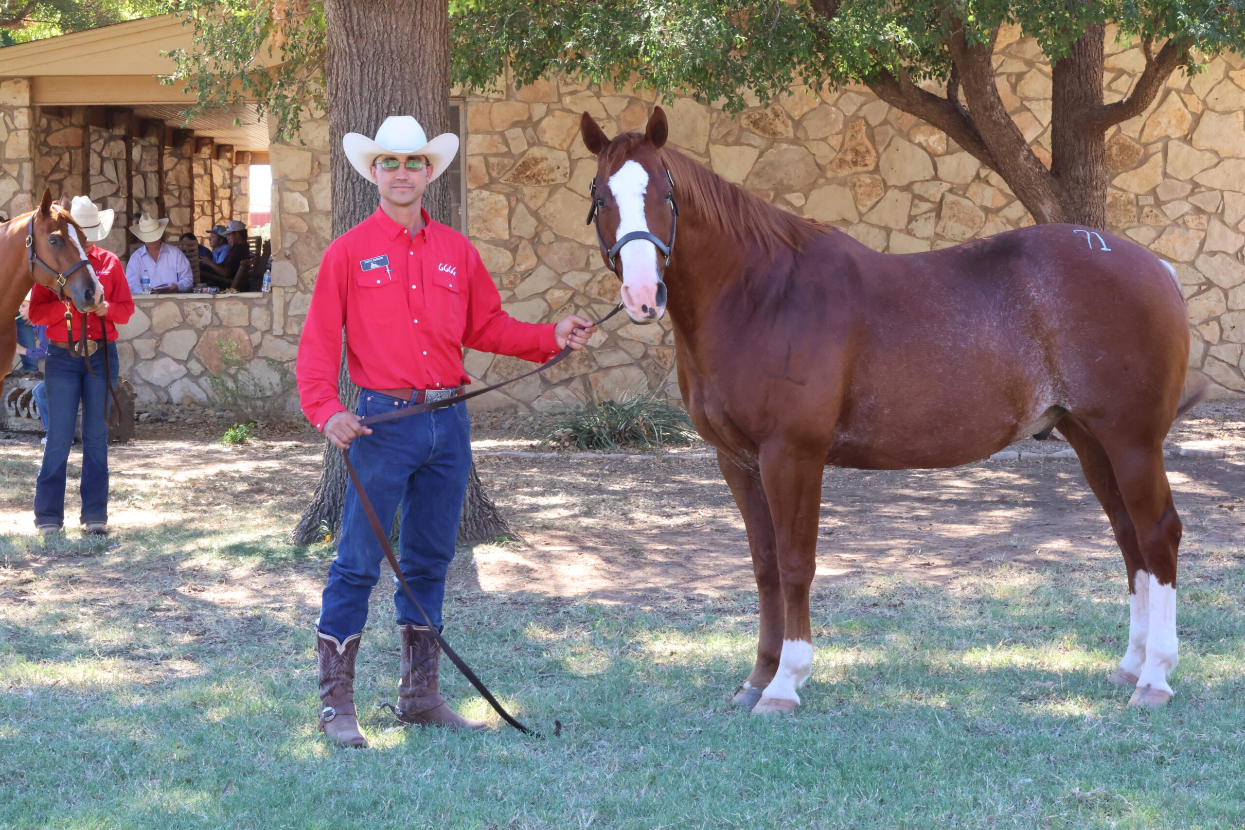 horse pictures for sale 0024