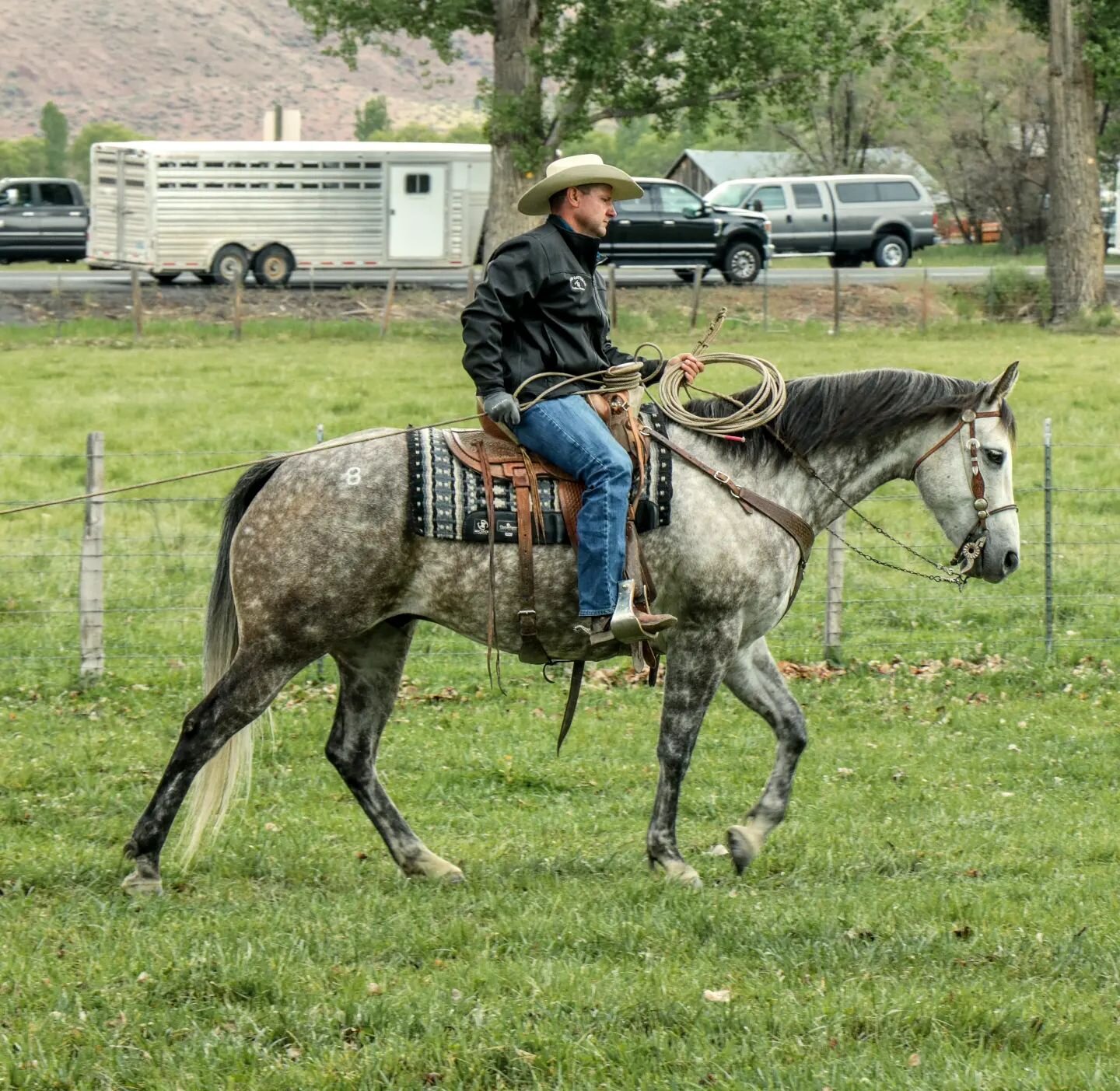 horse pictures for sale 0031