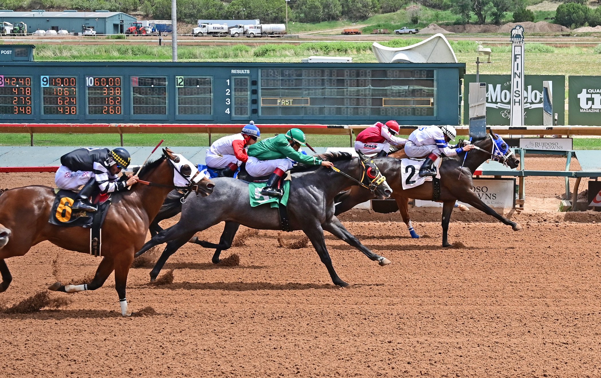 horse pictures for sale 0041