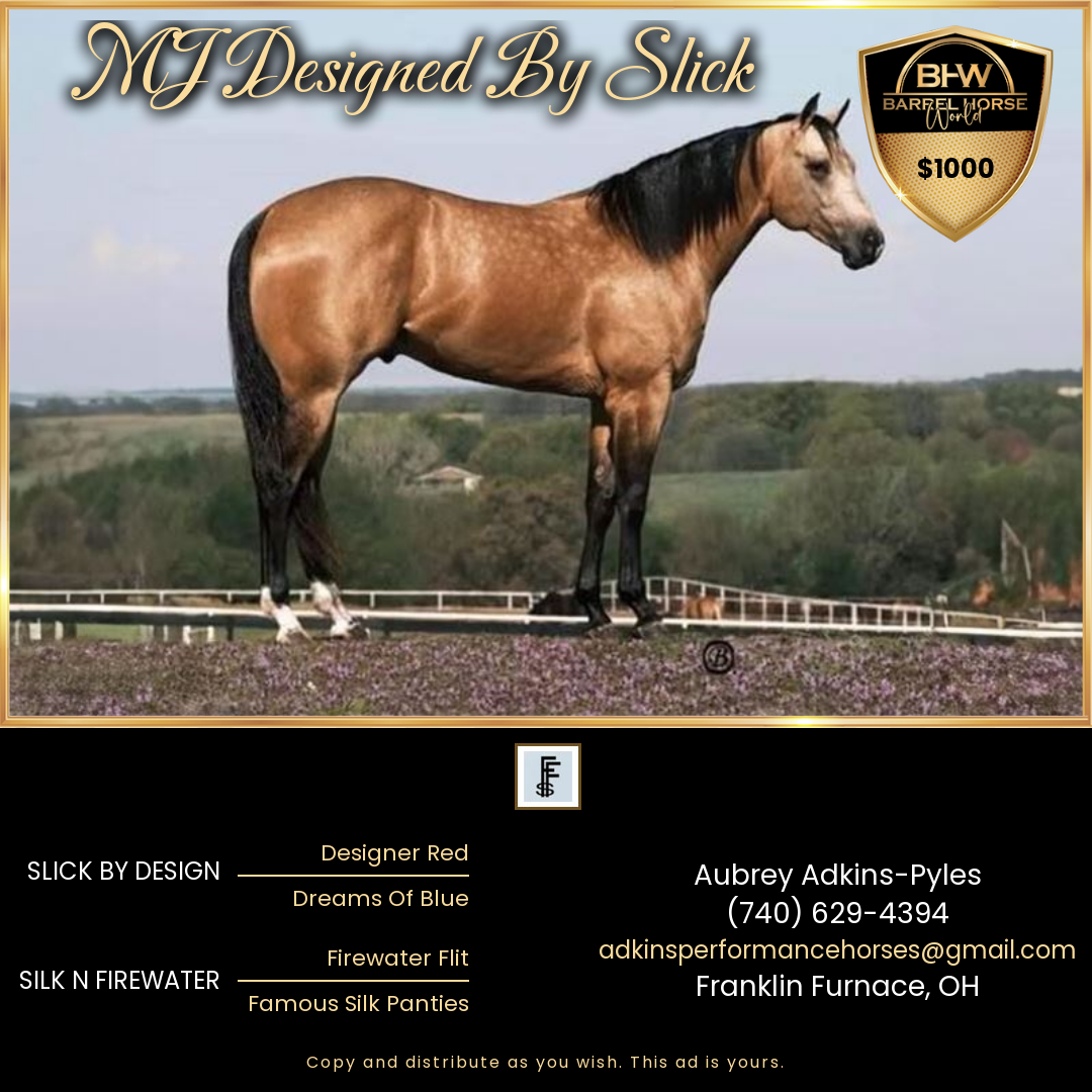 horse pictures for sale 0044