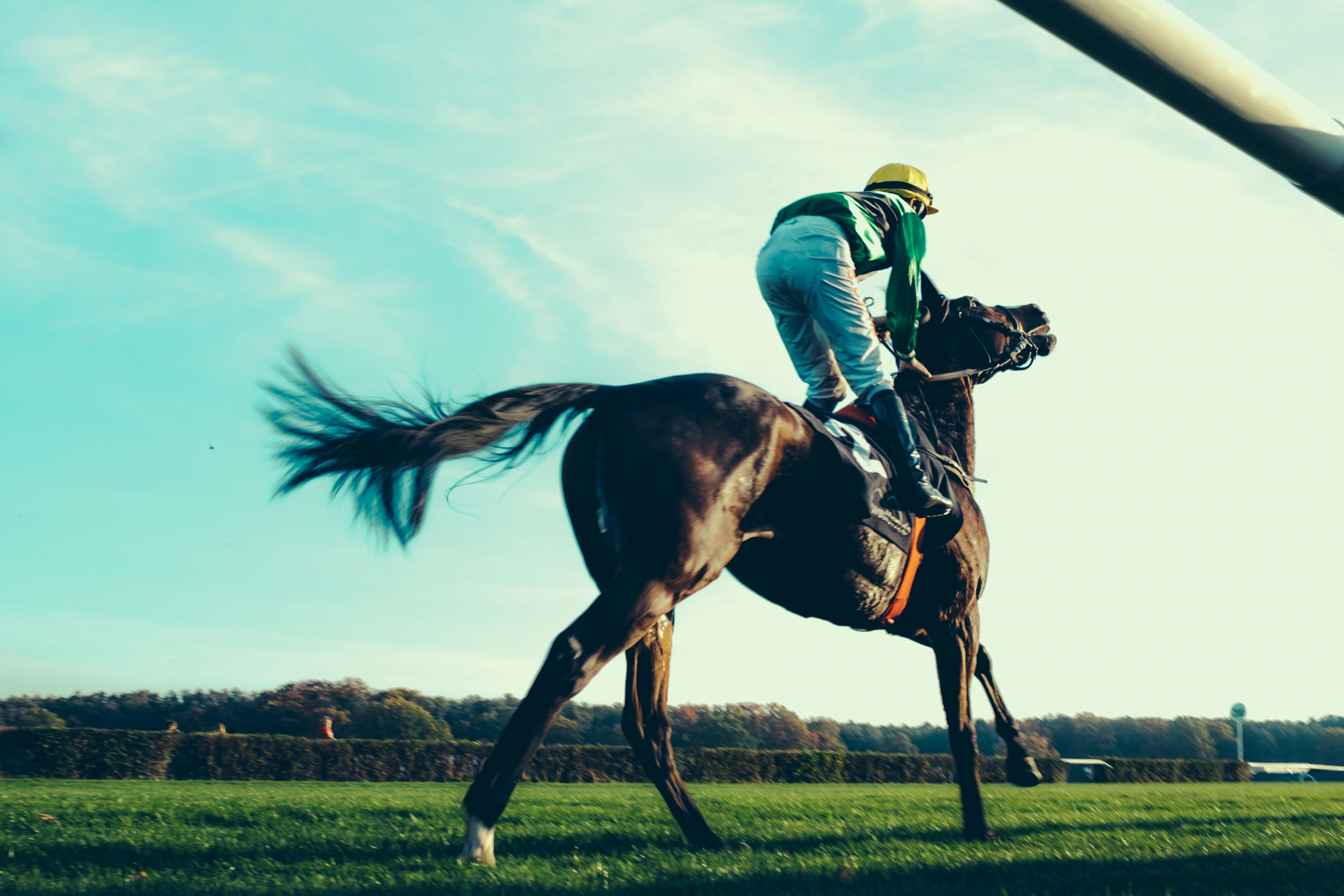 horse racing events photography