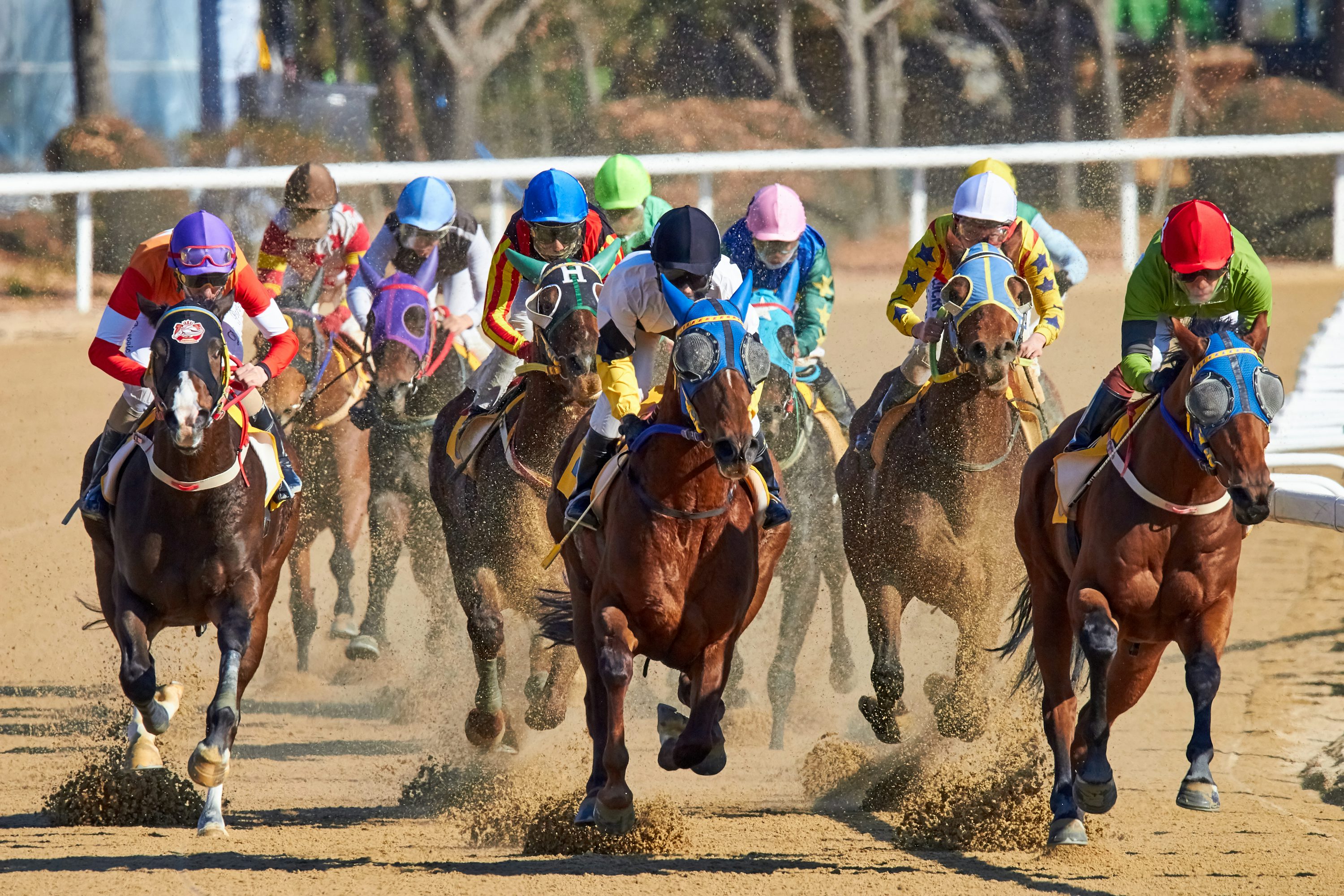 secretariat wins triple crown