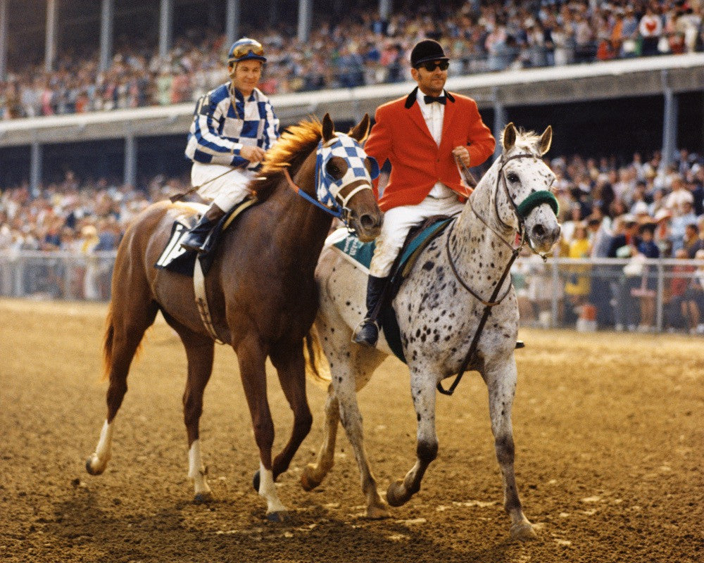 horse racing milestones.