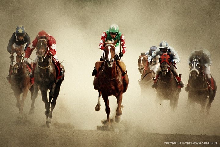 horse racing photography 0013