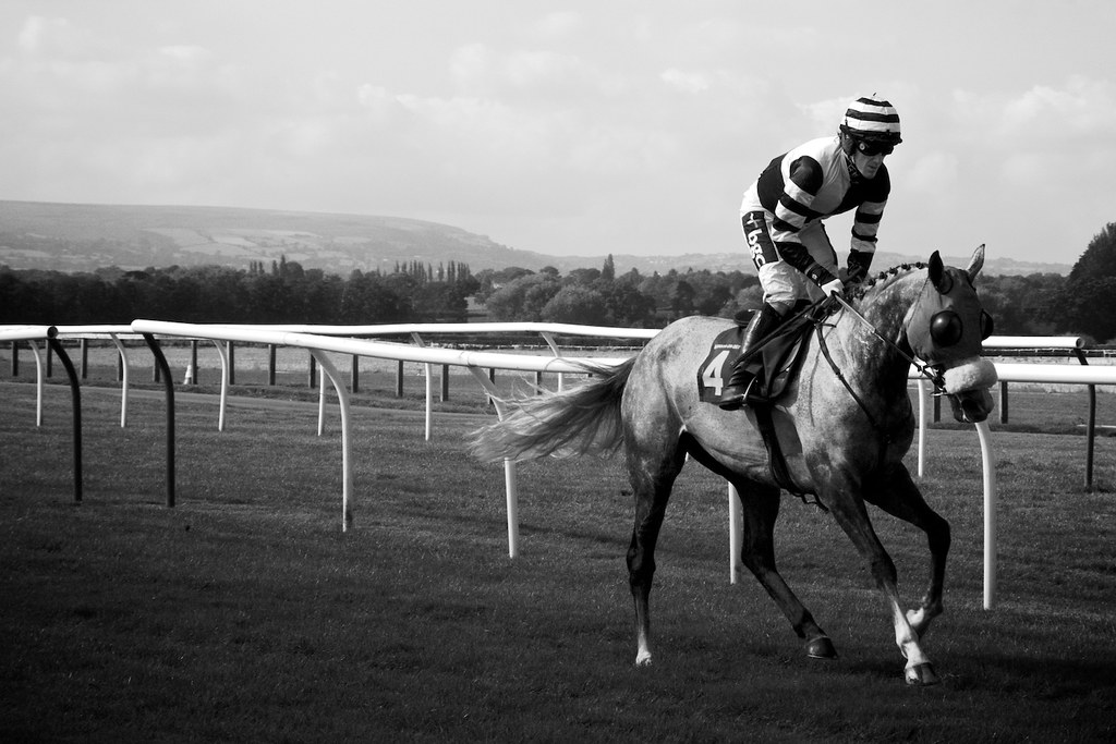 horse racing photography 0015