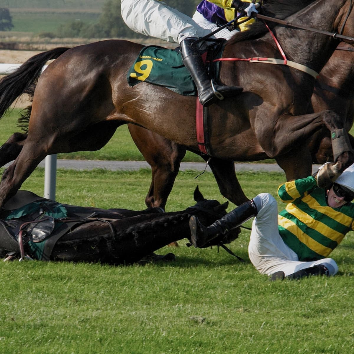 horse racing photography 0021