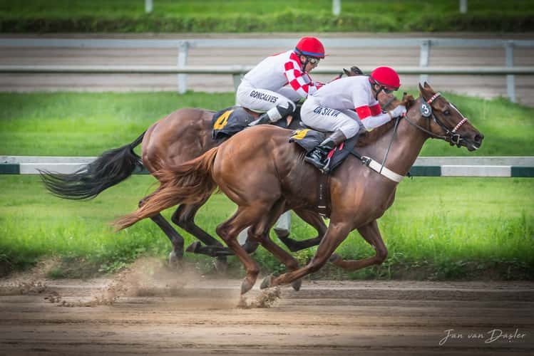 horse racing photography 0022